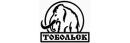 Тобольская косторезная фабрика