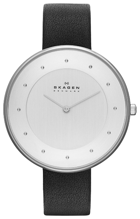 Купить «Skagen SKW2232» в интернет-магазине «Золотое время»