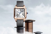 Cartier: С высоты птичьего полета