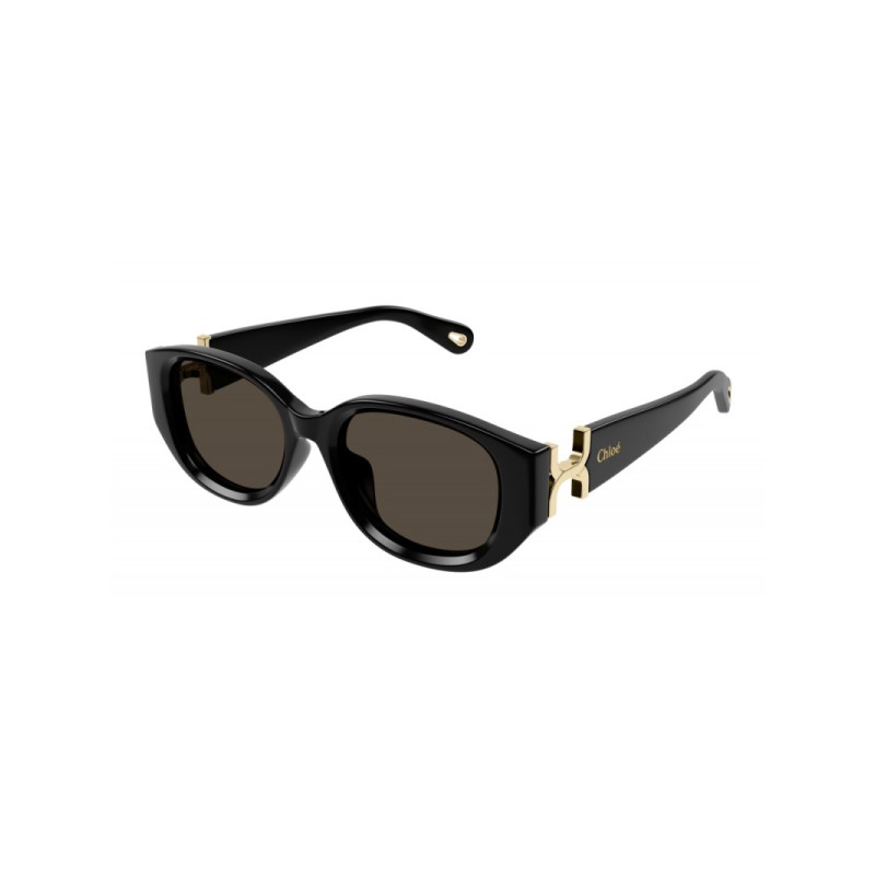Купить «Chloe CH0237SK-001 54 Очки солнцезащитные» в интернет-магазине «Золотое время»