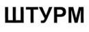 ШТУРМ