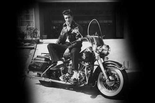 Elvis_02.jpg