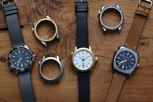 Certina-DS-Plus-Collection-Customizable-Watches-Review-13 Копирование.jpeg