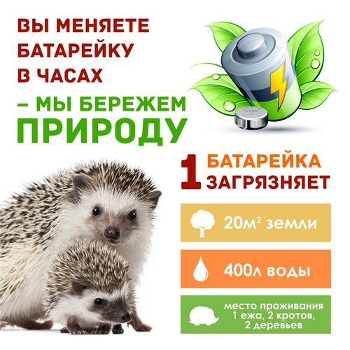 Сдай Батарейку_сайт.jpg