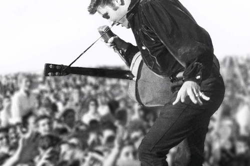 header_ventura_elvis.jpg