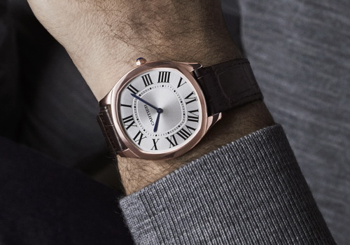 09_DRIVE_DE_ CARTIER_Extra_Flat_PG_WGNM0006.jpg